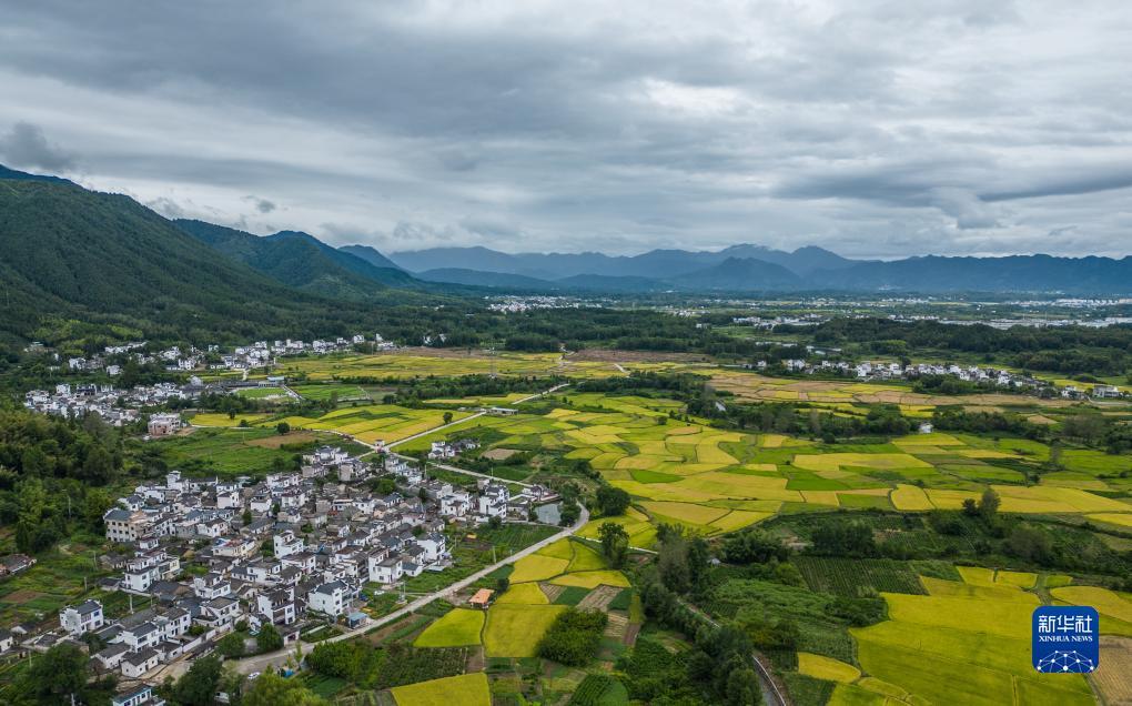 扑鱼达人电脑版